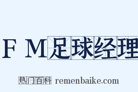 FM足球经理是什么意思的图片
